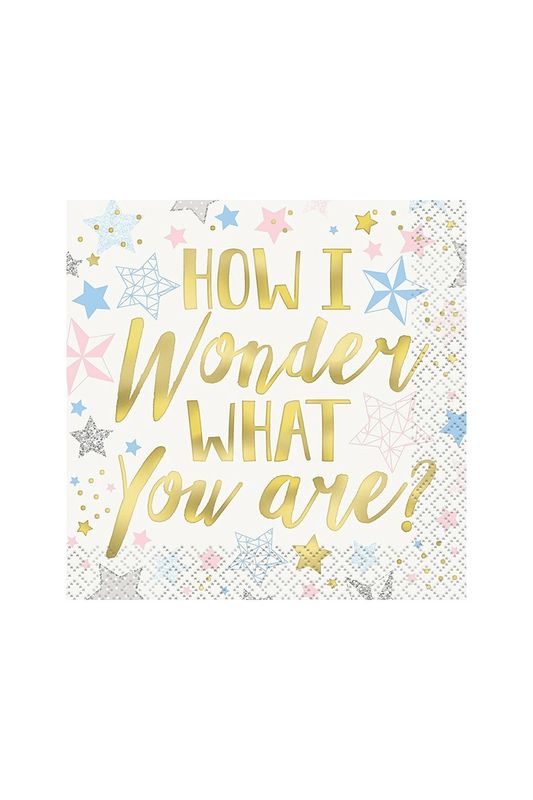 Twinkle Twinkle Little Star Baby Shower Party Supplies