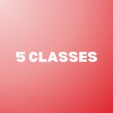 5 Classes