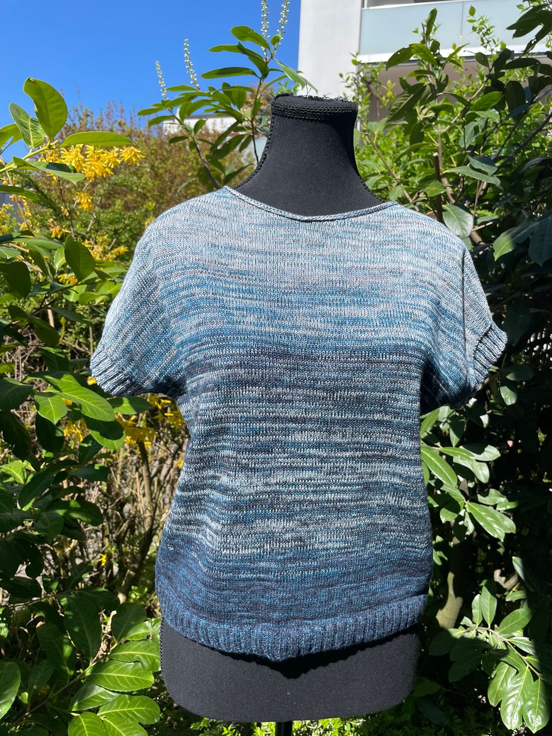 Short T-shirt in light blue/navy unique, 100% cotton, size S/M