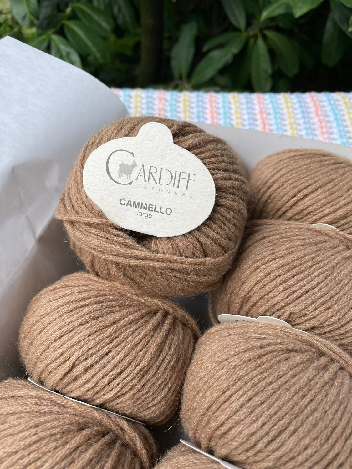 Cardiff Cammello large