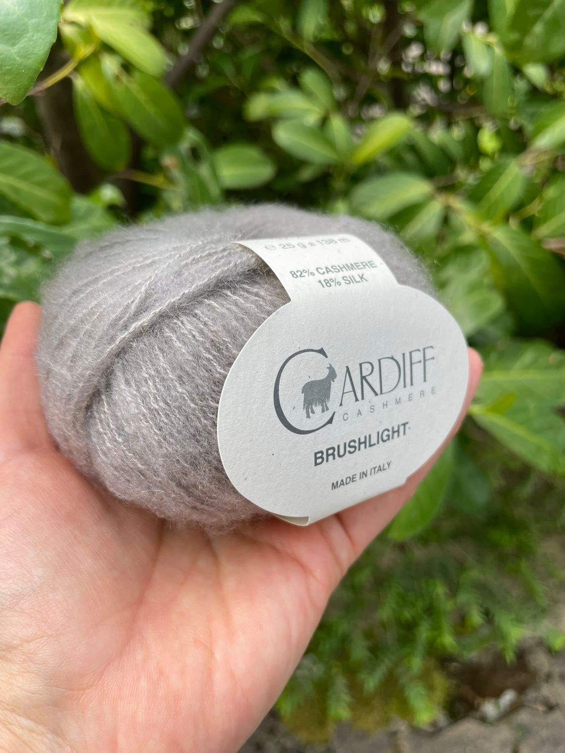 Cardiff Brushlight
