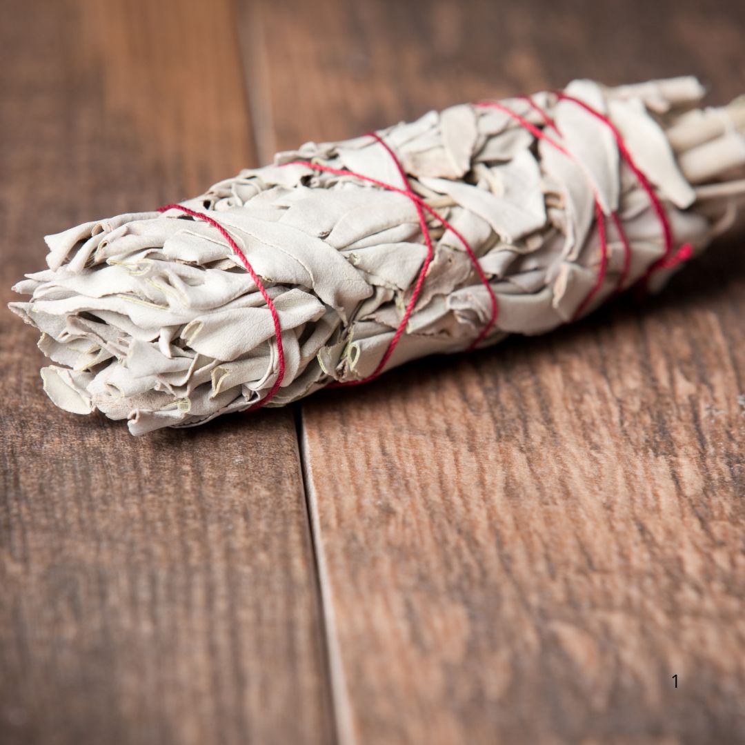 FAGOTTO SALVIA BIANCA