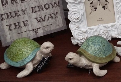 Set of Two Turtles