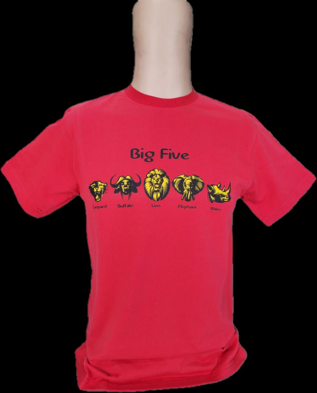 Big 5 Footprint