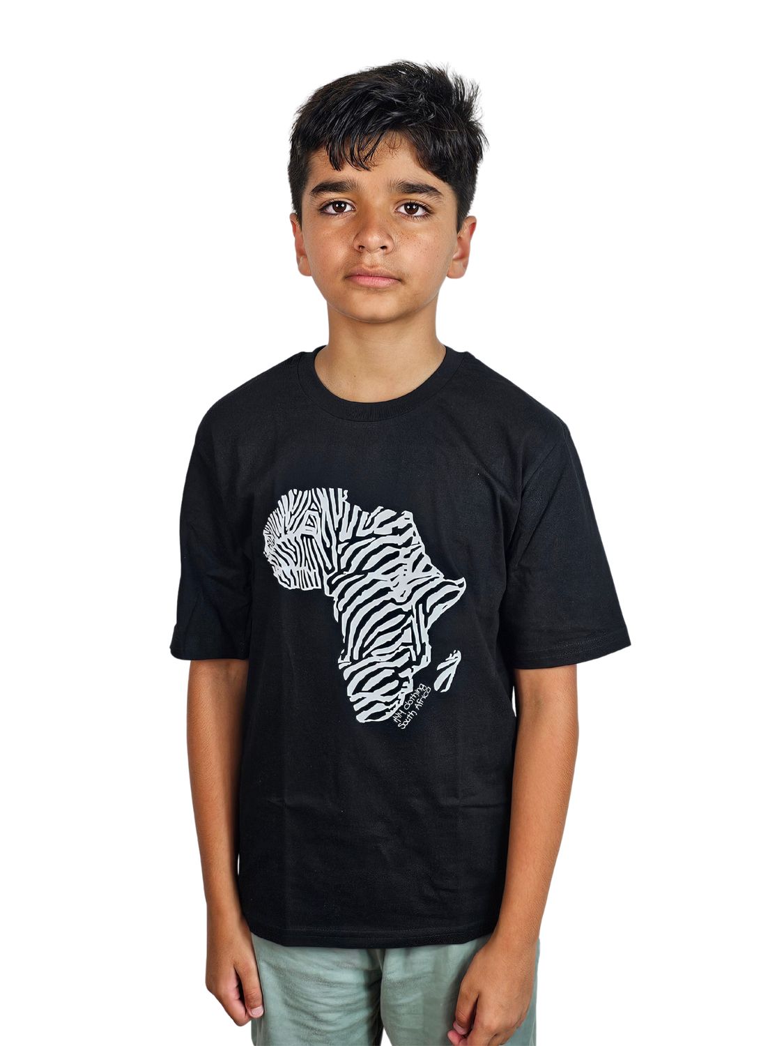 Zebra Africa