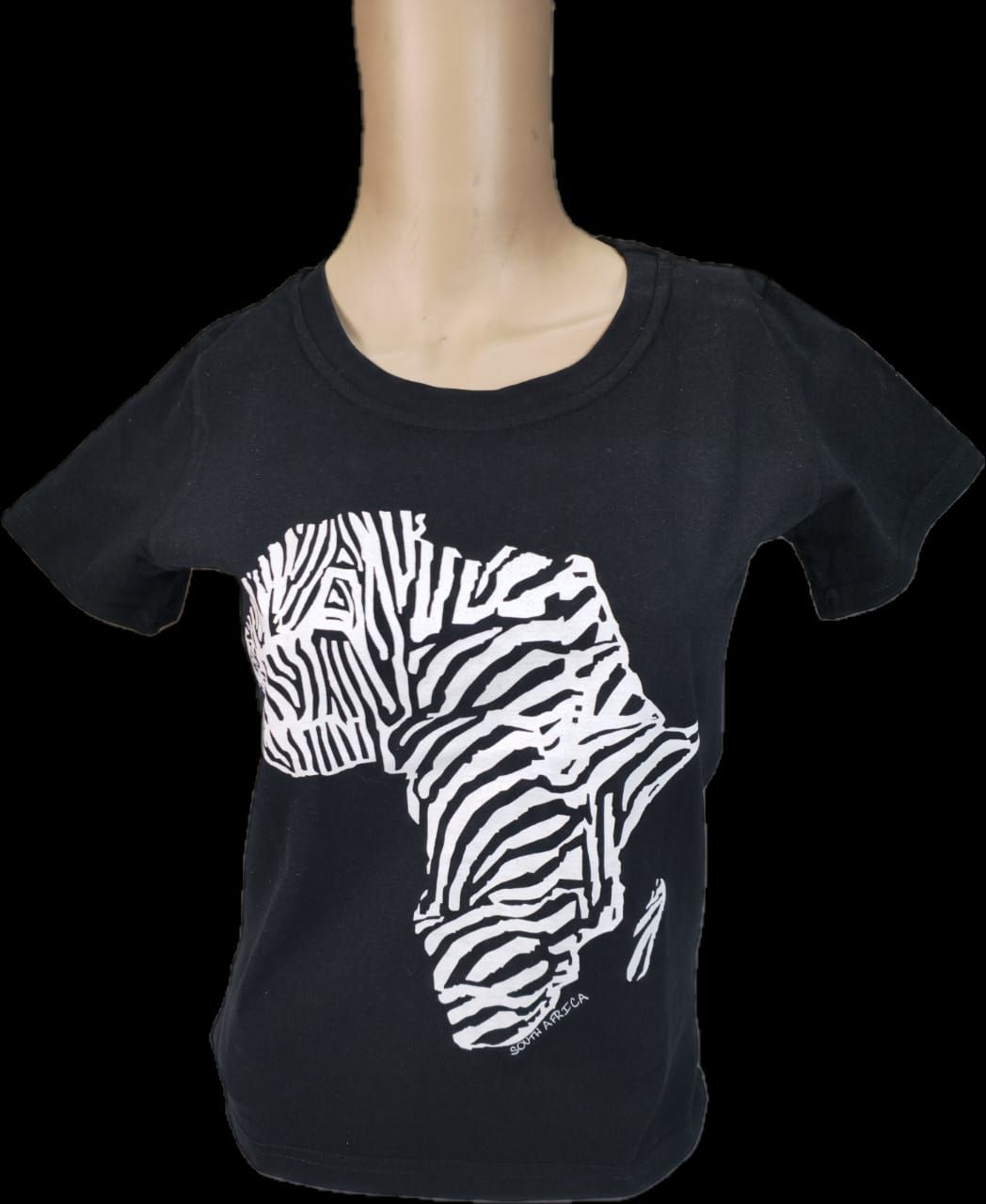 Zebra Africa