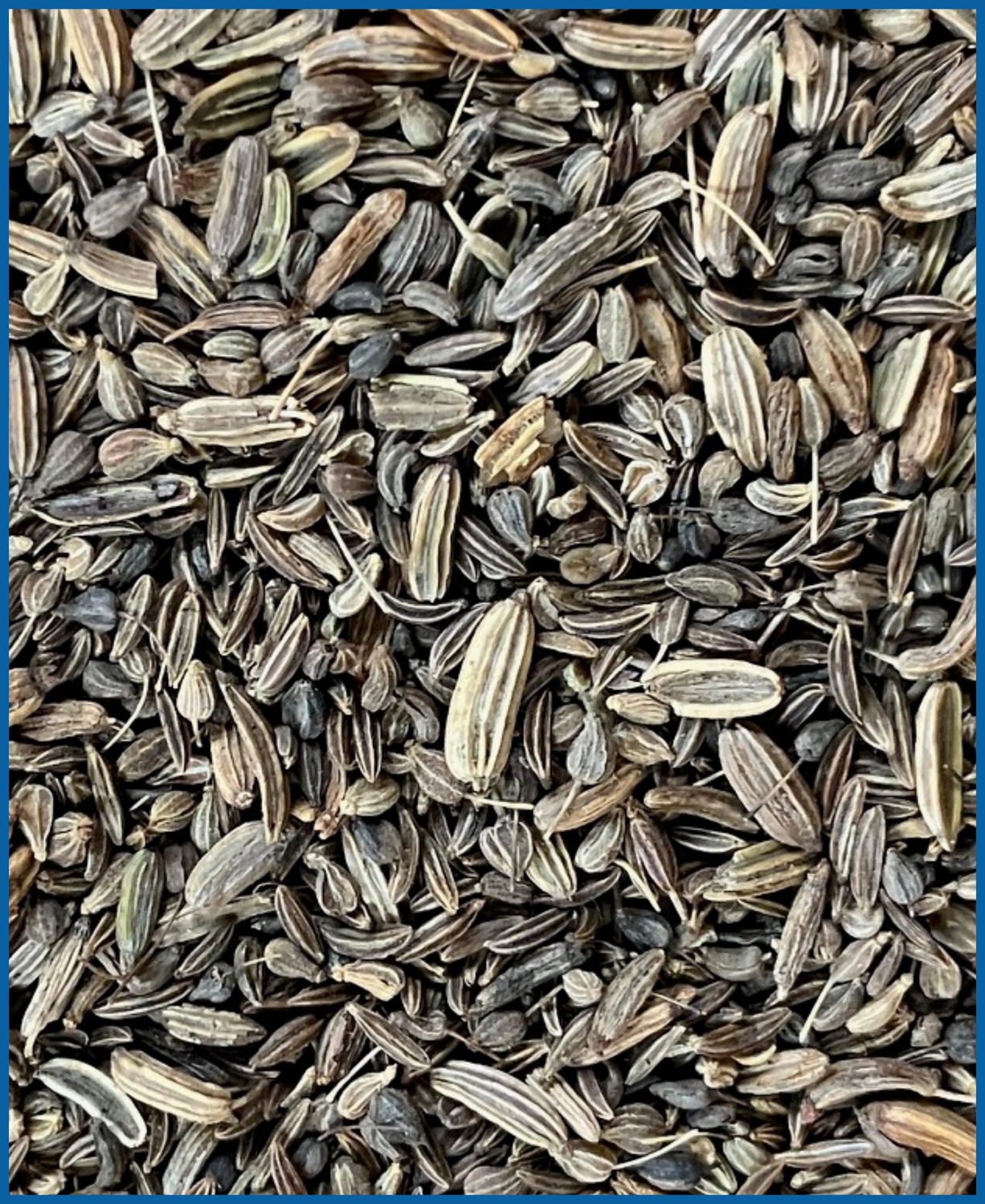 MEVIA Blähbauch 1,5 kg