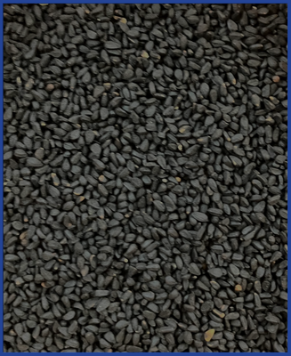 hofmann blue-line Schwarzkümmelsamen 1,5 kg