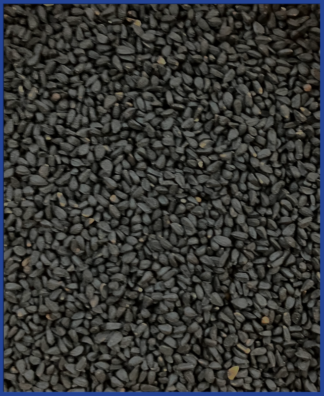 hofmann blue-line Schwarzkümmelsamen 1,5 kg