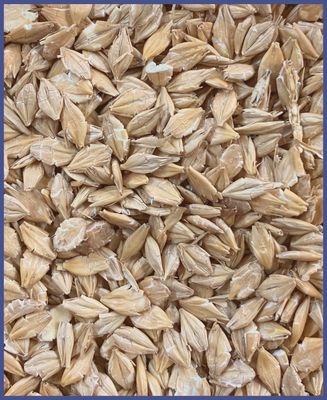 hofmann blue-line Gerstenflocken 15 kg