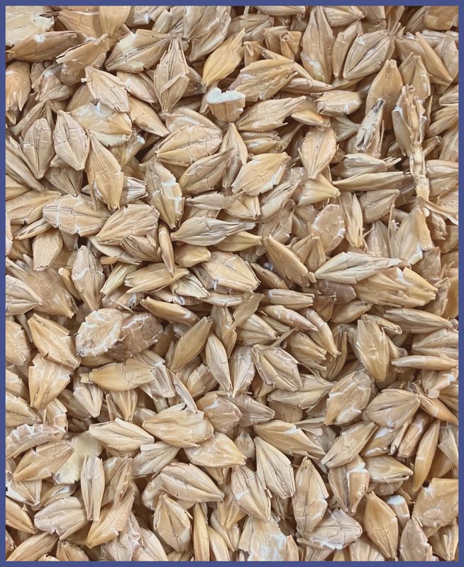 hofmann blue-line Gerstenflocken 15 kg