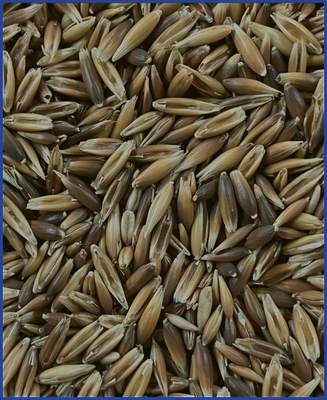 HDB Regio Schwarzhafer 25 kg