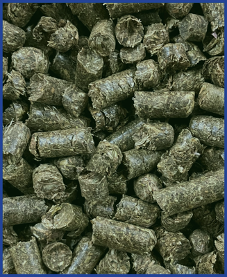 HDB Regio Voralpen-Bio-Heucobs 25 kg