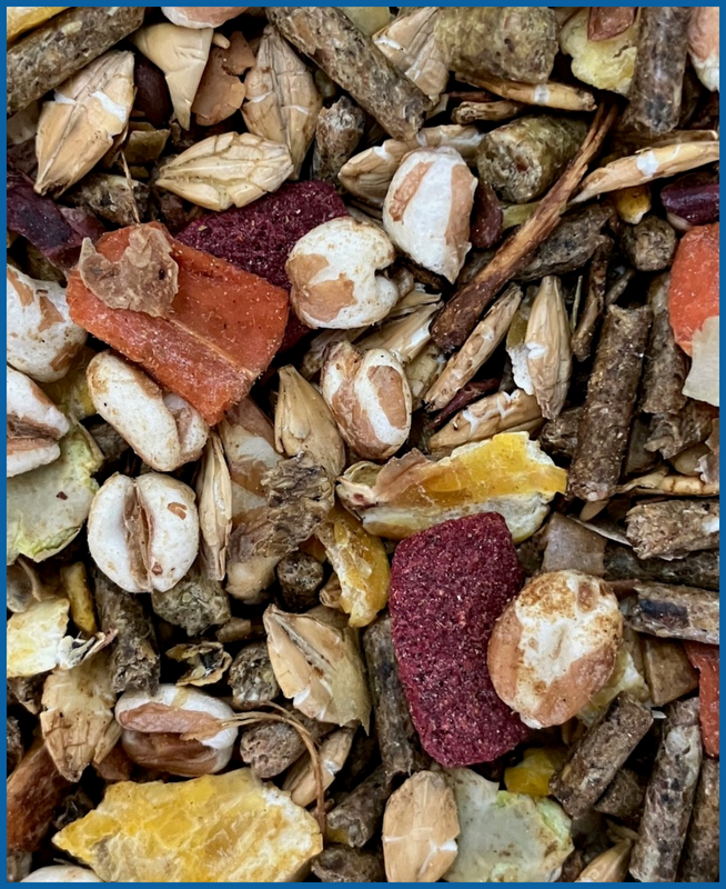 Quadriga genesis 20 kg