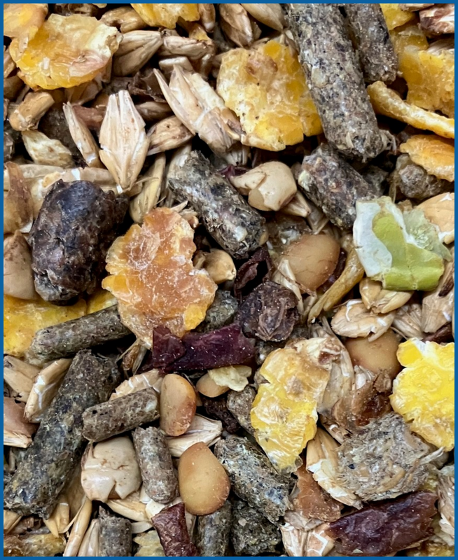 Quadriga evolution 20 kg