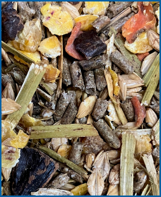 Quadriga atoll k 20 kg