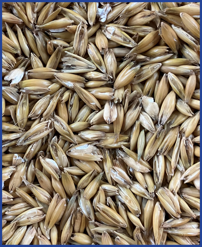 HDB Regio Quetschhafer 20 kg