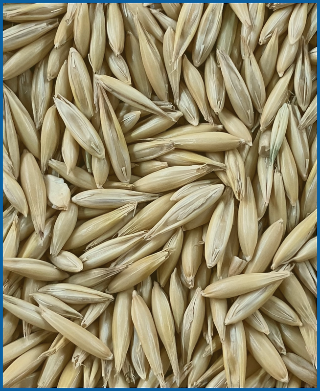 HDB Regio Gelbhafer 7 kg