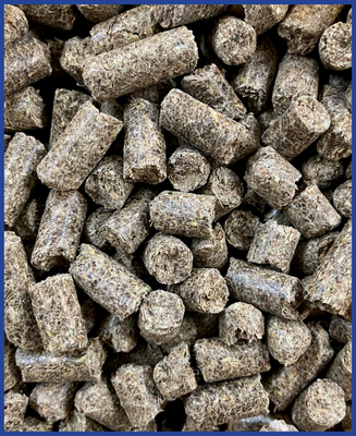 hofmann blue-line Pondus Maximus 20 kg