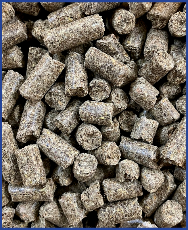 hofmann blue-line Pondus Maximus 20 kg