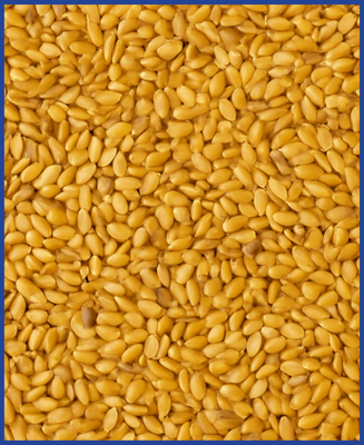 hofmann blue-line Leinsamen gelb 3 kg