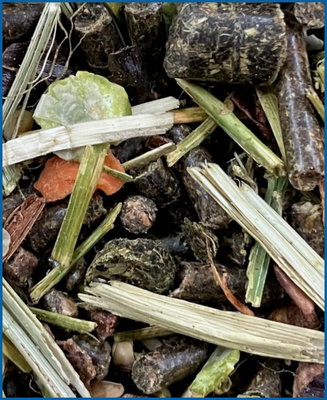 Quadriga infinity 2  15 kg