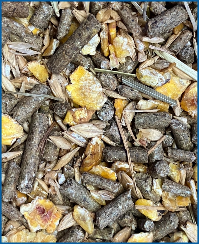 Quadriga econic 20 kg