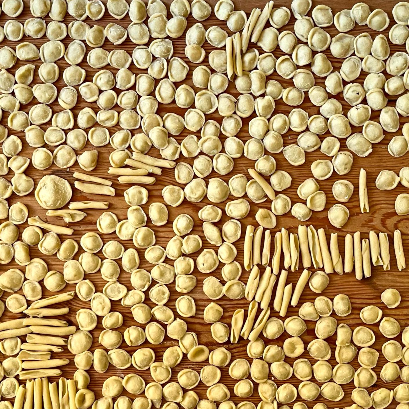 orecchiette