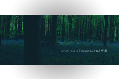 Between Dog and Wolf - Chrystel Lebas