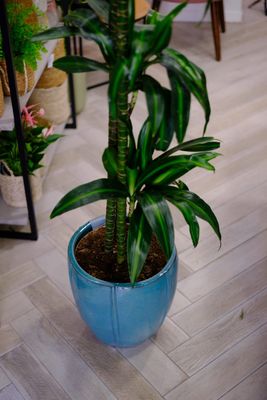 Vaso azzurro terracotta smaltata cm 38