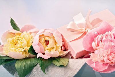 Carta regalo