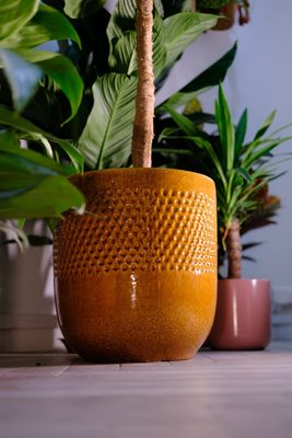 Vaso senape terracotta smaltata cm 33
