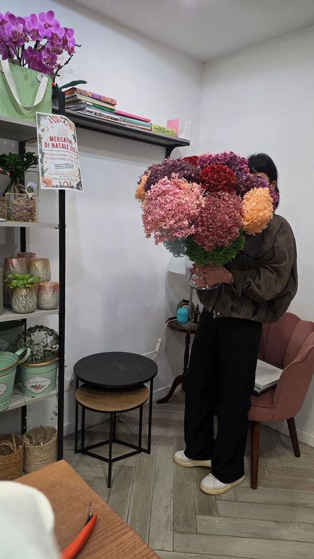 Ortensia Stabilizzata