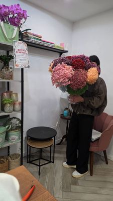 Ortensia Stabilizzata Ortensia Stabilizzata