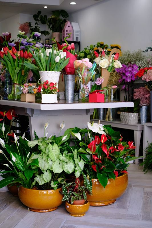 Ciotola terracotta smaltata