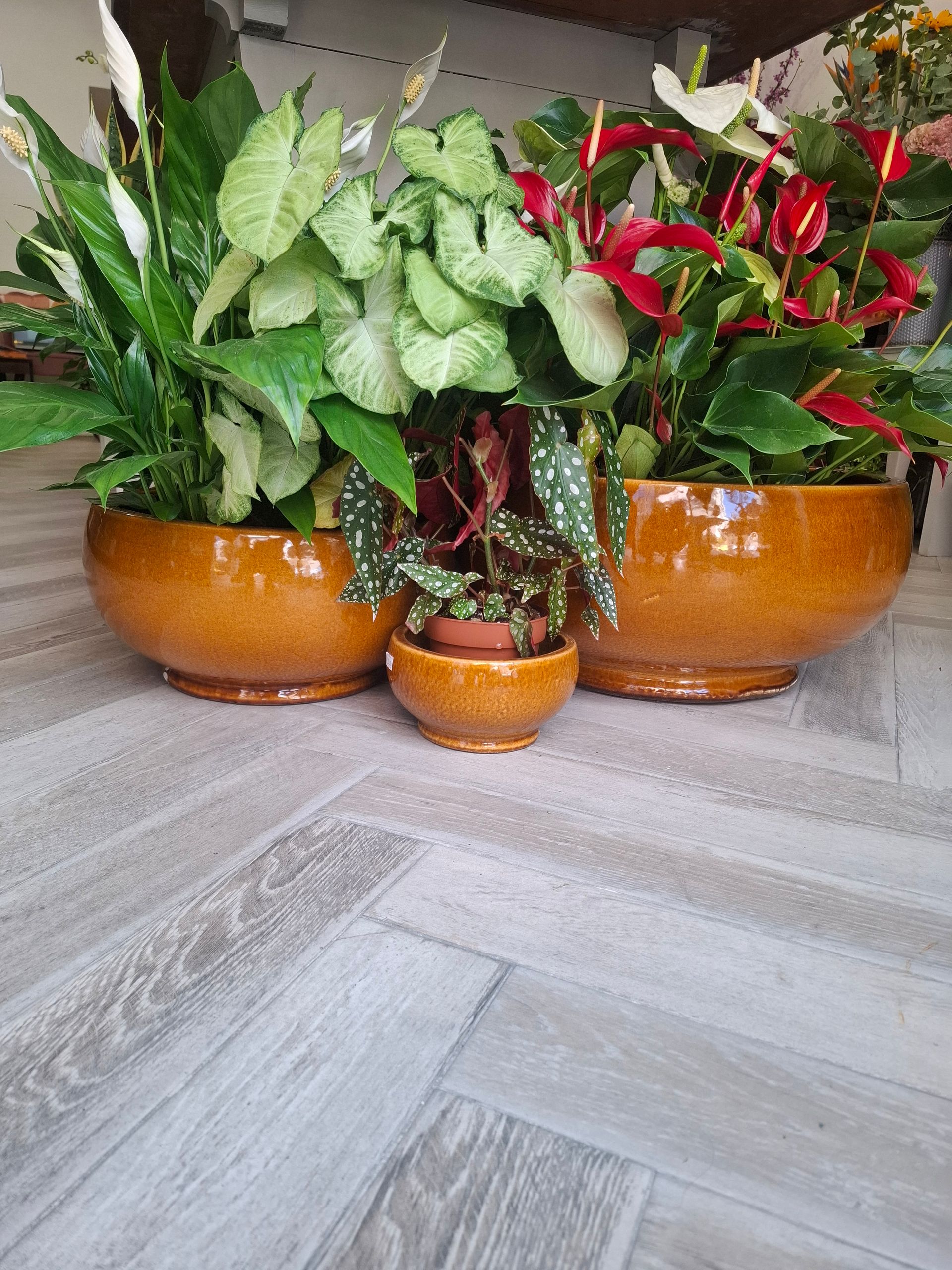 Ciotola terracotta smaltata