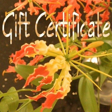 Gift Certificate 75