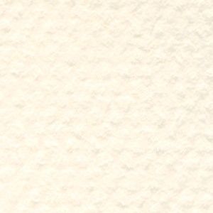 Canson Mi Tien 111 Ivory 19 x 25
