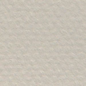 Canson Mi Tien 343 Pearl 19 x 25