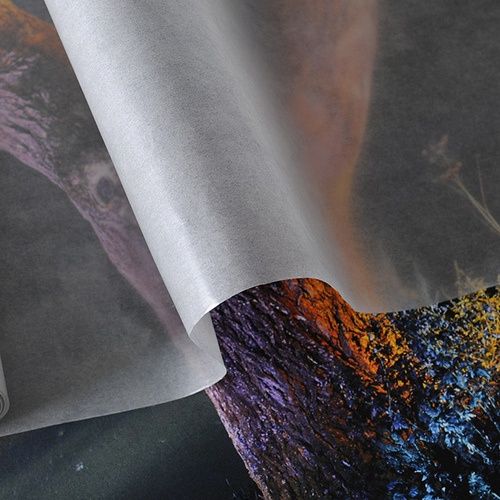 Canson Glassine Roll 36 inx20yd