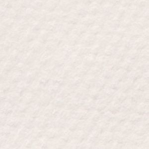 Canson Mi-Teitnes Pearl Gray