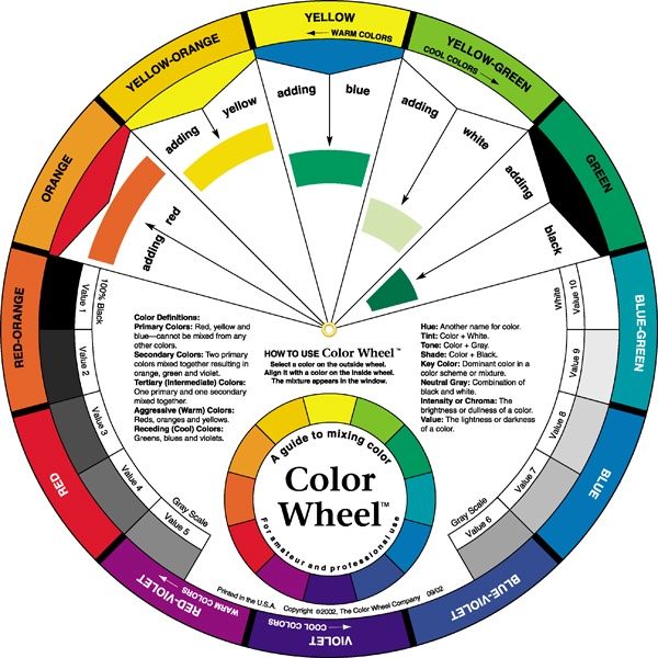 Color Wheel 9 1/4