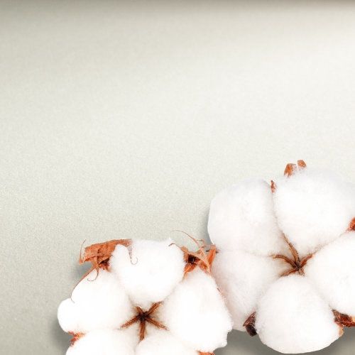 Hahnemuhle Collections 140CP 22x30