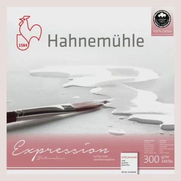 Hahnemuhle Expressions WC 9x12
