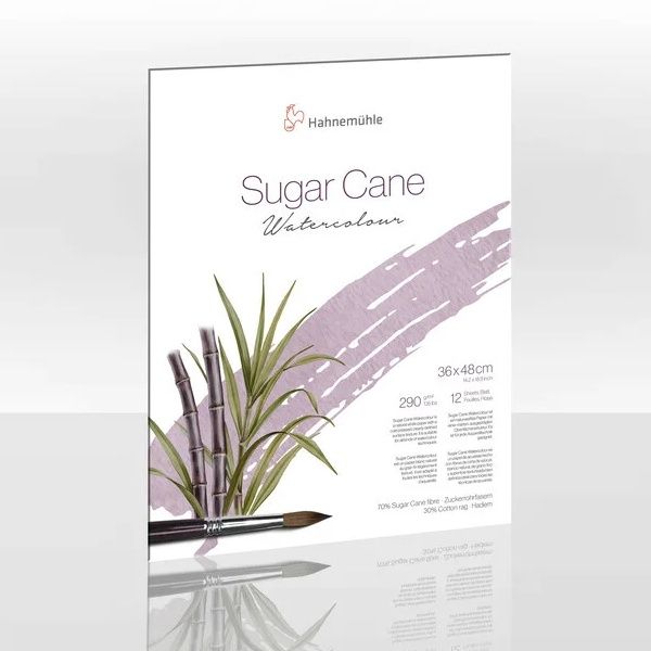 Hahnemuhle Sugarcane WC pad 9x12.5