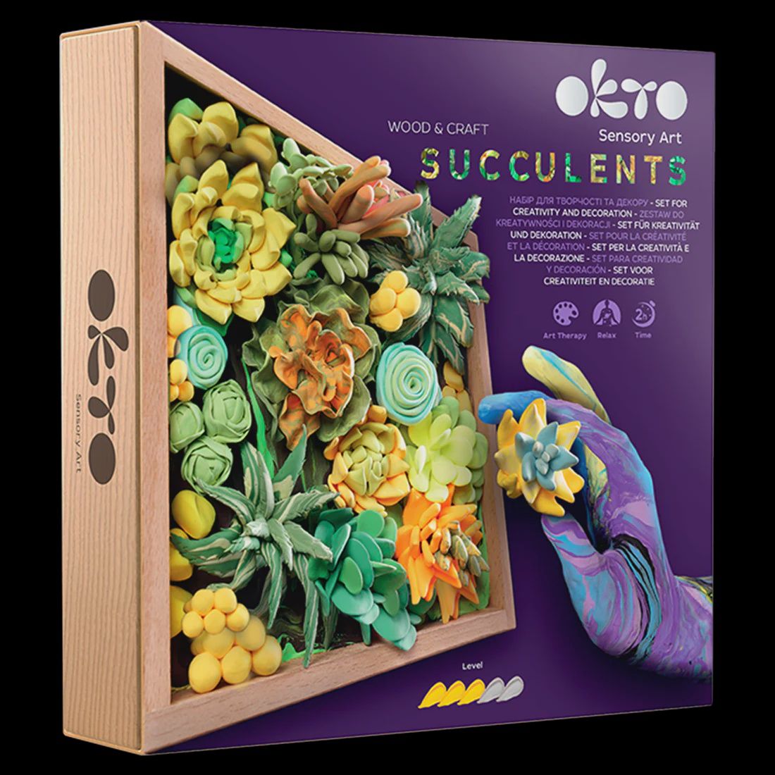 Okto Succulents #2 Sensory Kit