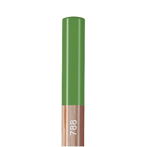 CA Pastel Mid Moss Grn30%234 Pencil