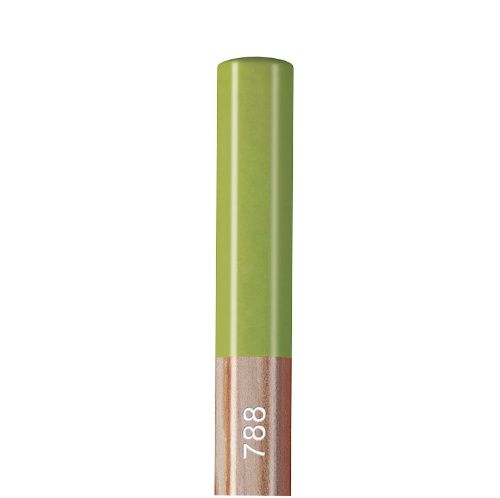 CA Pastel Mid Moss Grn10%232 Pencil
