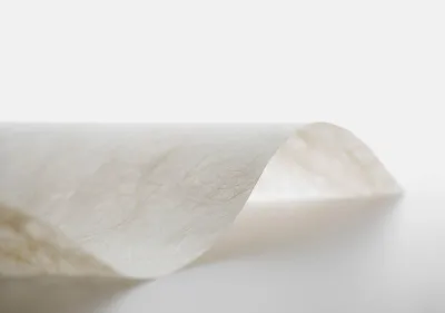 Japanese Washi &amp; Rice Papers