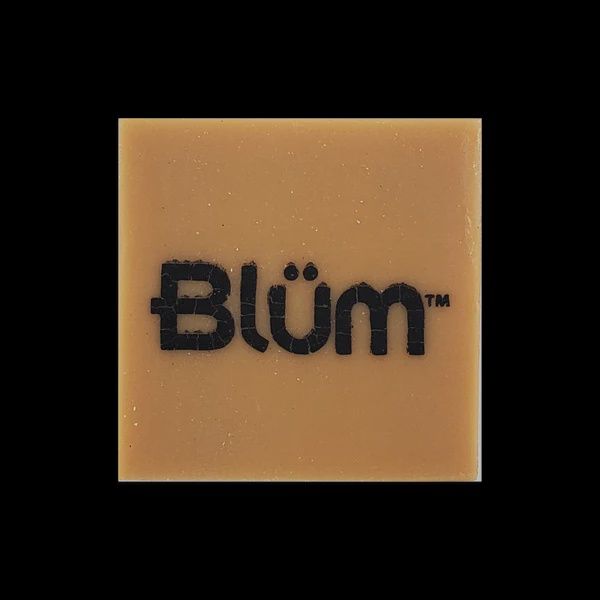 Blum Gum Eraser (small)